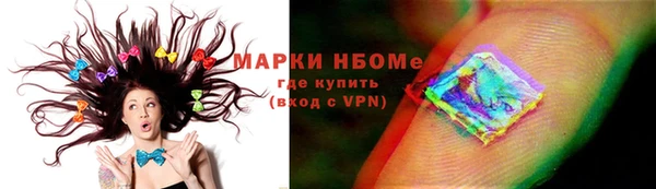 PSILOCYBIN Алзамай