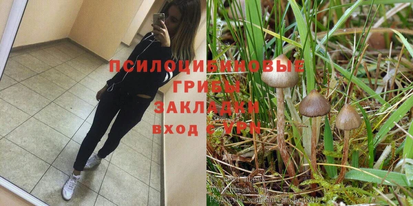 метадон Алексин