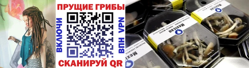 Галлюциногенные грибы мухоморы Уссурийск